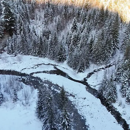 зелениця * Zelenitsa